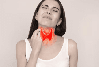 thyroid gland