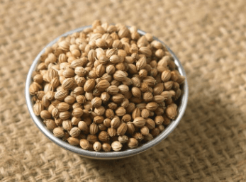Coriander Water